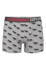 Boxer Shorts