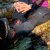 Softshell