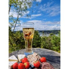 Sklenice na pivo s losem Sklenice na pivo s losem