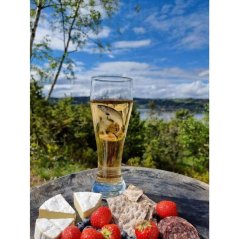 Sklenice na pivo losos