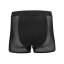 BRYNJE Wool Thermo Boxer Shorts
