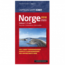Norge mini veggkart